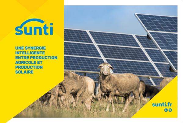 synergie-intelligente-entre-production-agricole-et-production-solaire